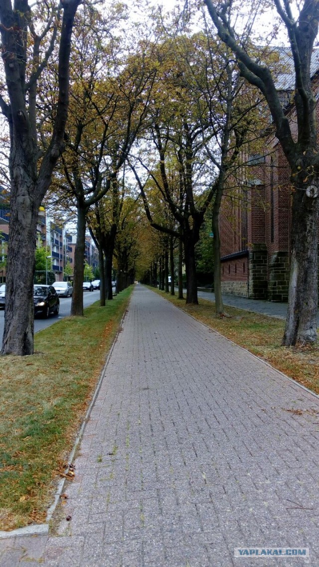 Немножко Германии
