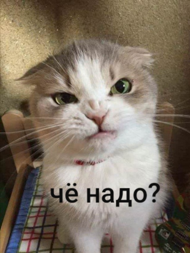 Спать хочу. Чё пристала?
