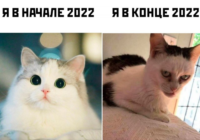 Итоги года