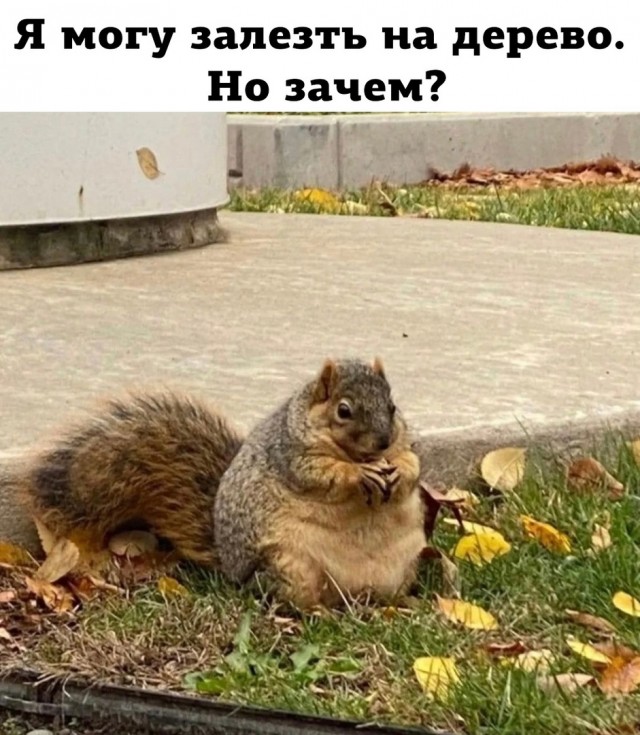 Так себе картинки 11.04.23