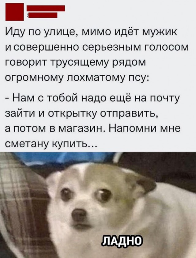 Картинки разнообразные