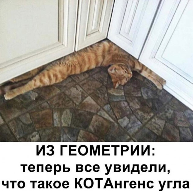 Так себе картинки 06.06.23