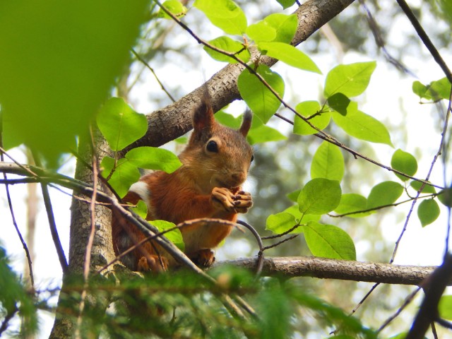 Природа Южного Урала