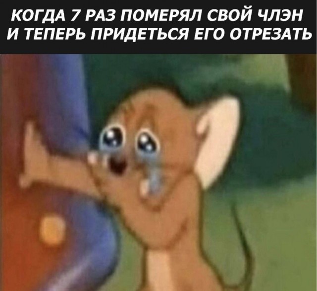 Неадекватность