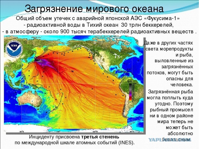 Япония негодует