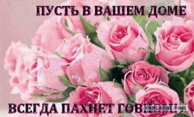 Бояны 7-ми летней выдержки