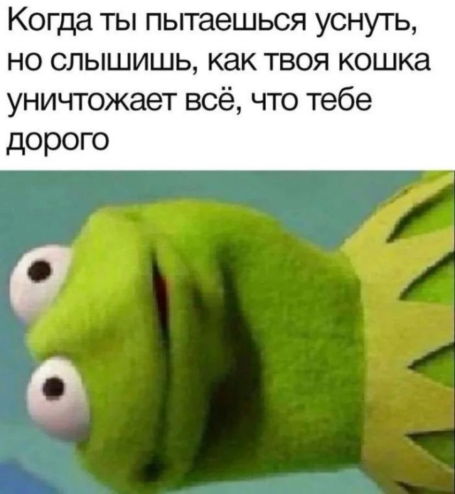 Приколы с налетом деградации