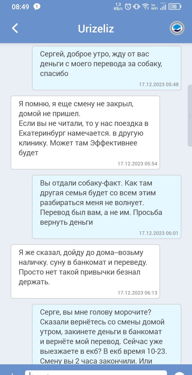 Собакочетверг или как я стал приемным папой