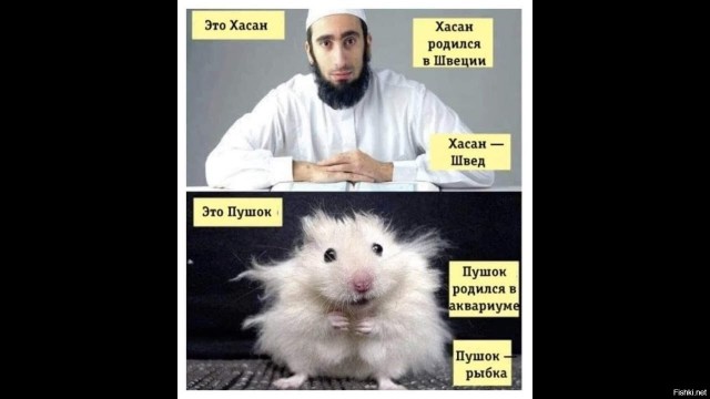 Будни простых шведских работяг