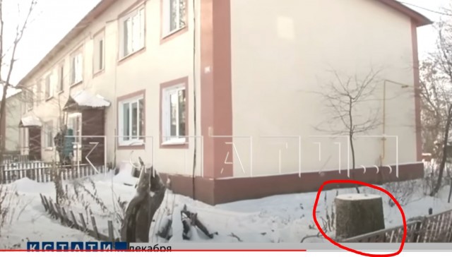 Законная кража!