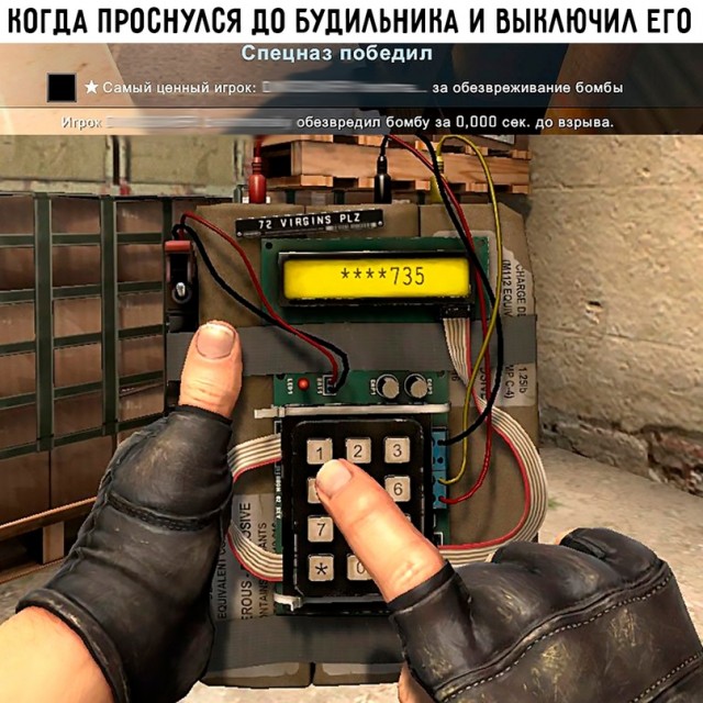 Весёлый полтишок 13.02.24