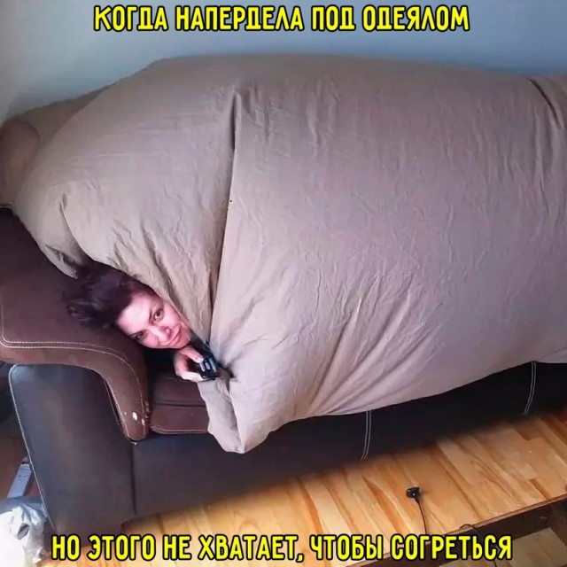 Весёлый полтишок 20.05.24
