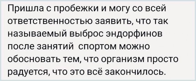 Весёлый полтишок 04.10.2024