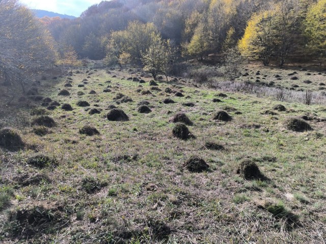 Осень в Крыму