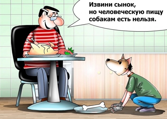 Пятничная солянка