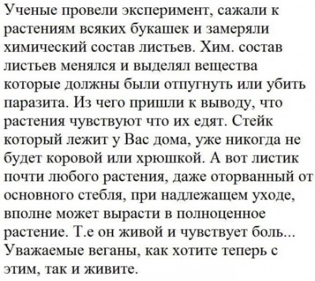 Когда веганам хочется лосося, но в голове же беда совсем