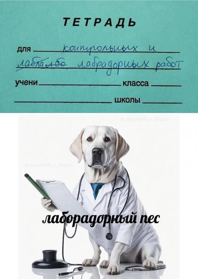Так себе картинки 23.02.25