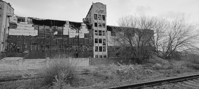 Продолжаю отладку домашних процессов с фотоплёнкой. Зацените ЧБ фотки