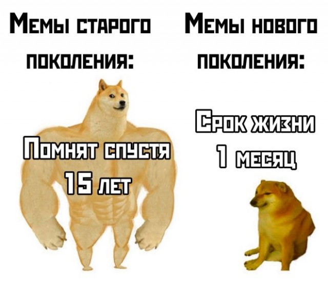 Веселые картинки во вторнег (06.05)