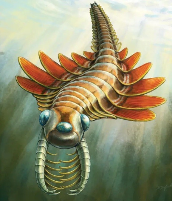 И трёхглазый мотылёк