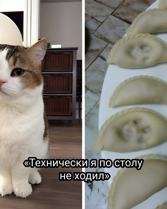 Так себе картинки 27.05.25
