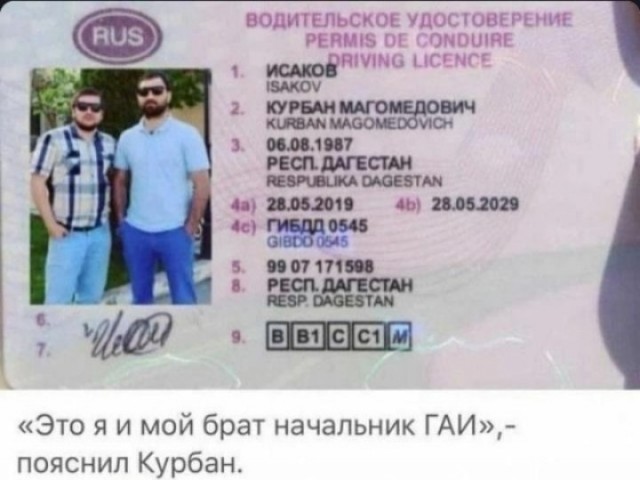 В Московской области раскрыта крупная ОПГ из подмосковных полицейских