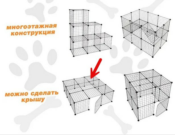 Сегодня мою собаку прооперировали, удалили межпозвоночную грыжу.