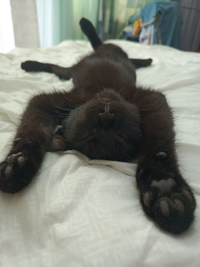 Его первый вторник