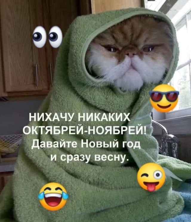 Так себе картинки 02.10.25