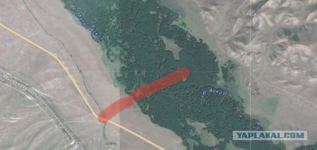 Три главные причины, почему люди теряются в лесу, и как этого избежать