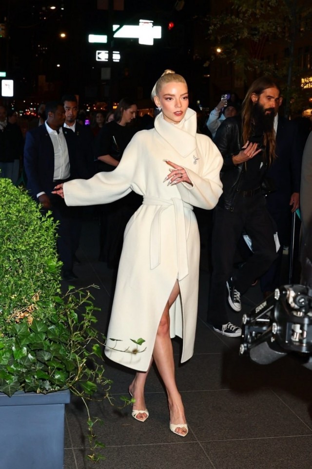 Тейлор-Джой