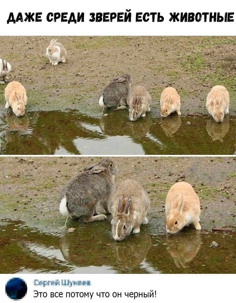 Картинки для деградации 86 (разной степени свежести)