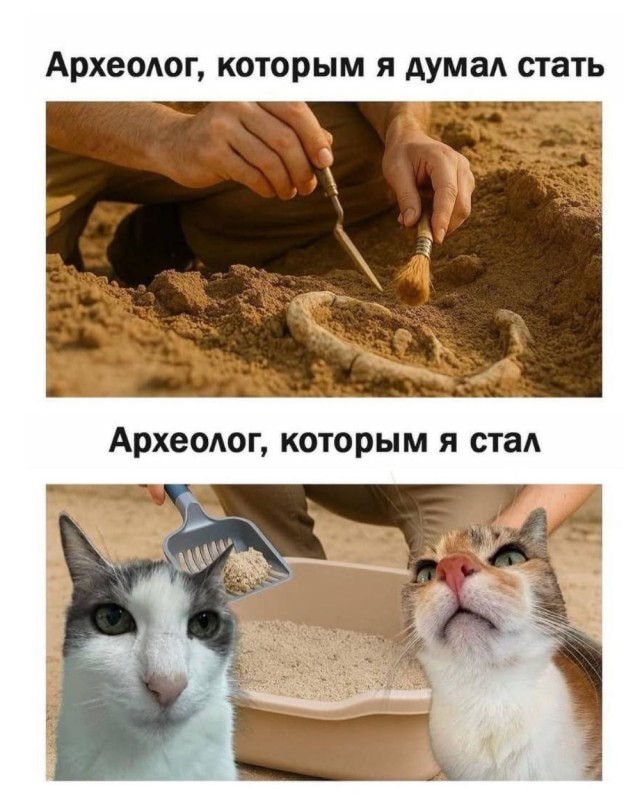 Прикольные и просто красивые картинки 21.11.2025