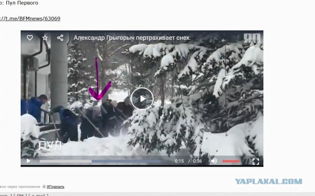 Александр Грыгорыч пертрахивает снех.