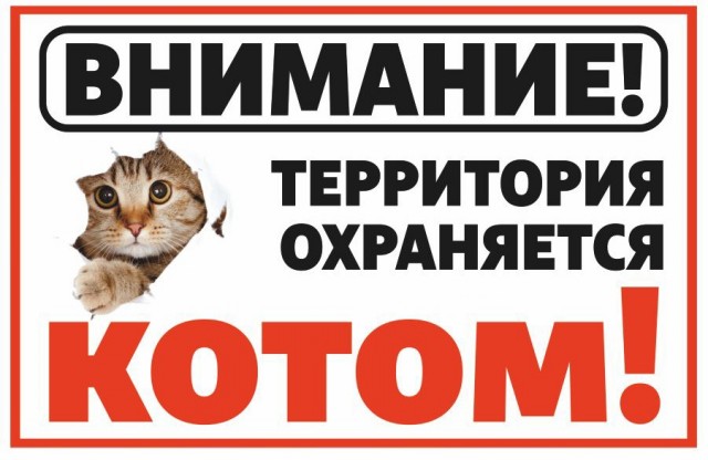 Дом под охраной