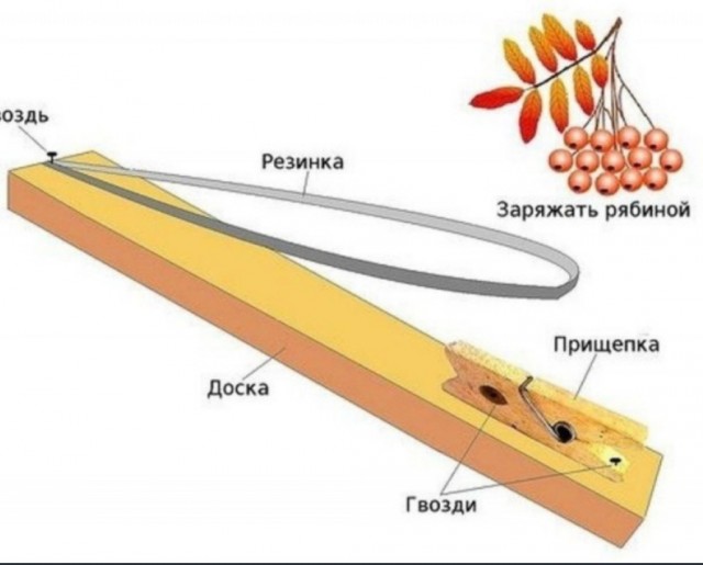 У нас в детстве не было компьютеpов, но мы не скучали