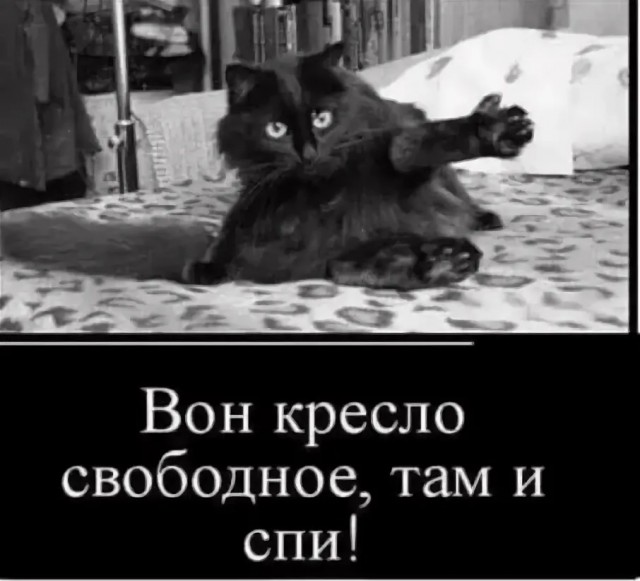 Да не хочу я с вами здороваться