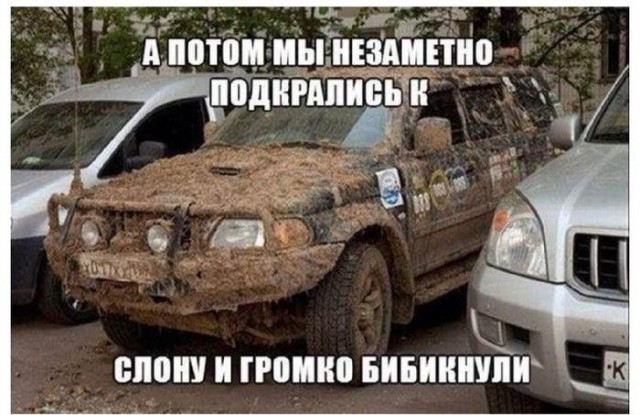 Картинки для деградации 237 (разной степени свежести)