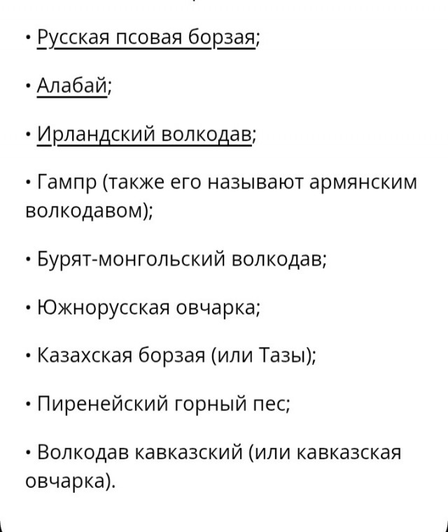 Деревенский дедушка как-то ответил на вопрос, кто победит: волк или алабай