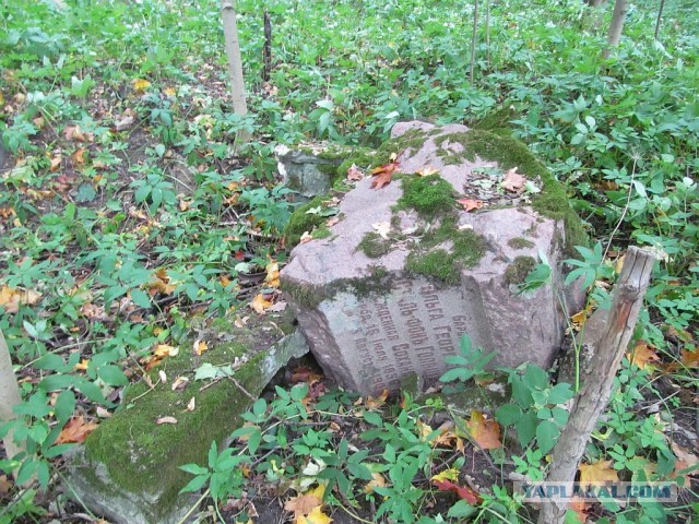 Потеряли память и совесть.