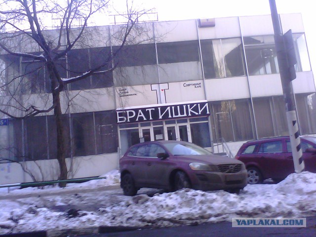 Маразмы месяца