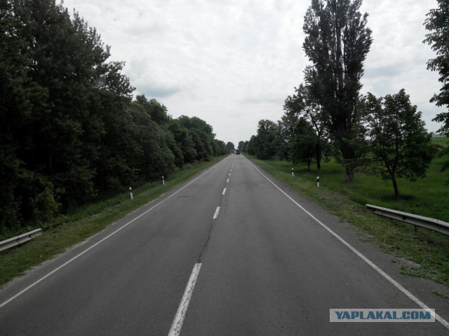 Мир. Труд. Май.