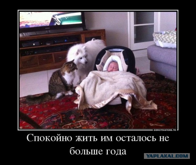 Будут ли они дружить..?