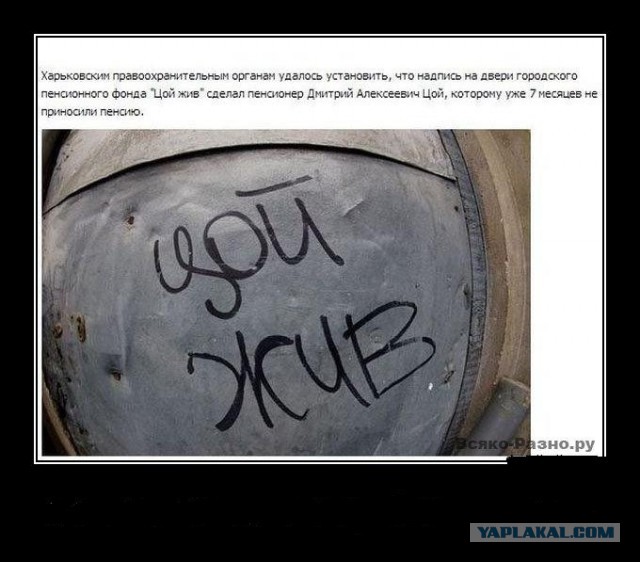 Новые "комментарии из соцсетей"