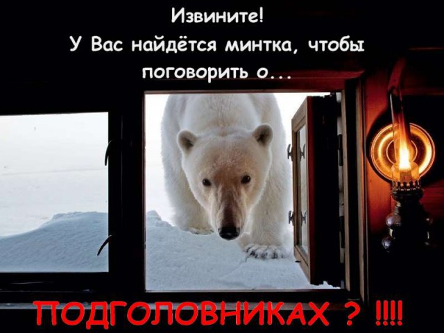 Как я машину без подголовников купил)