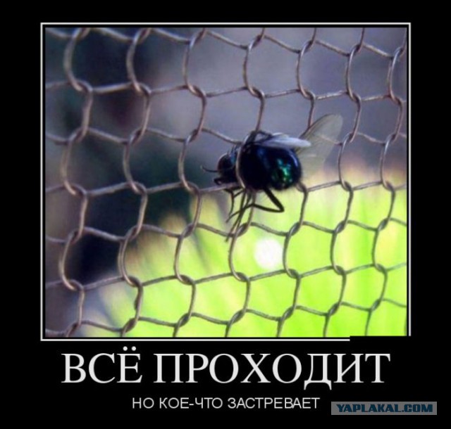 Подборка баянов.