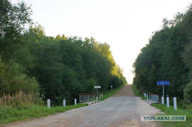 Поиск родственников