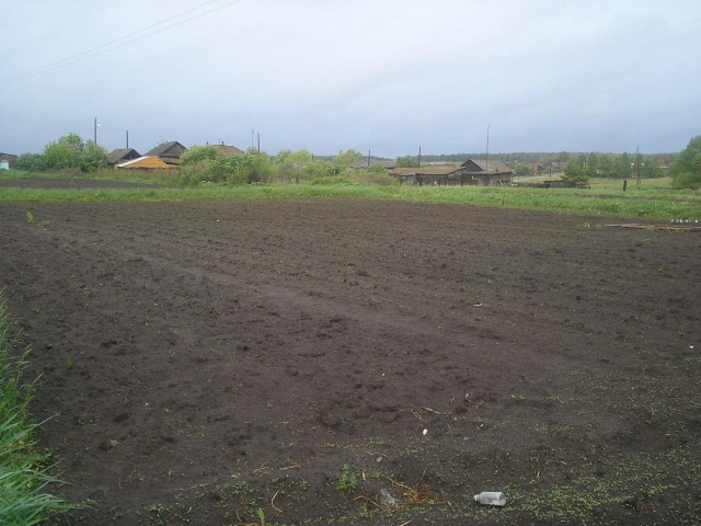 Домик в деревне