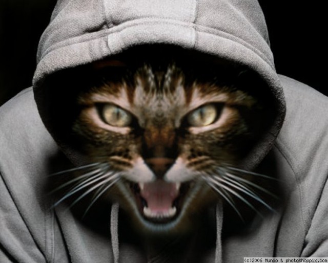 Настоящее предназначение капюшона