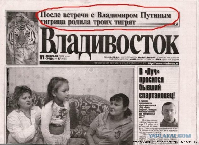 24 смешных заголовка из новостей